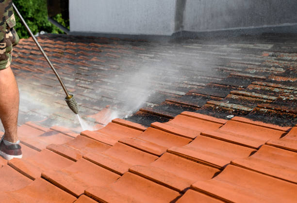 Best Affordable Power Washing  in Arrowhead Beach, NC